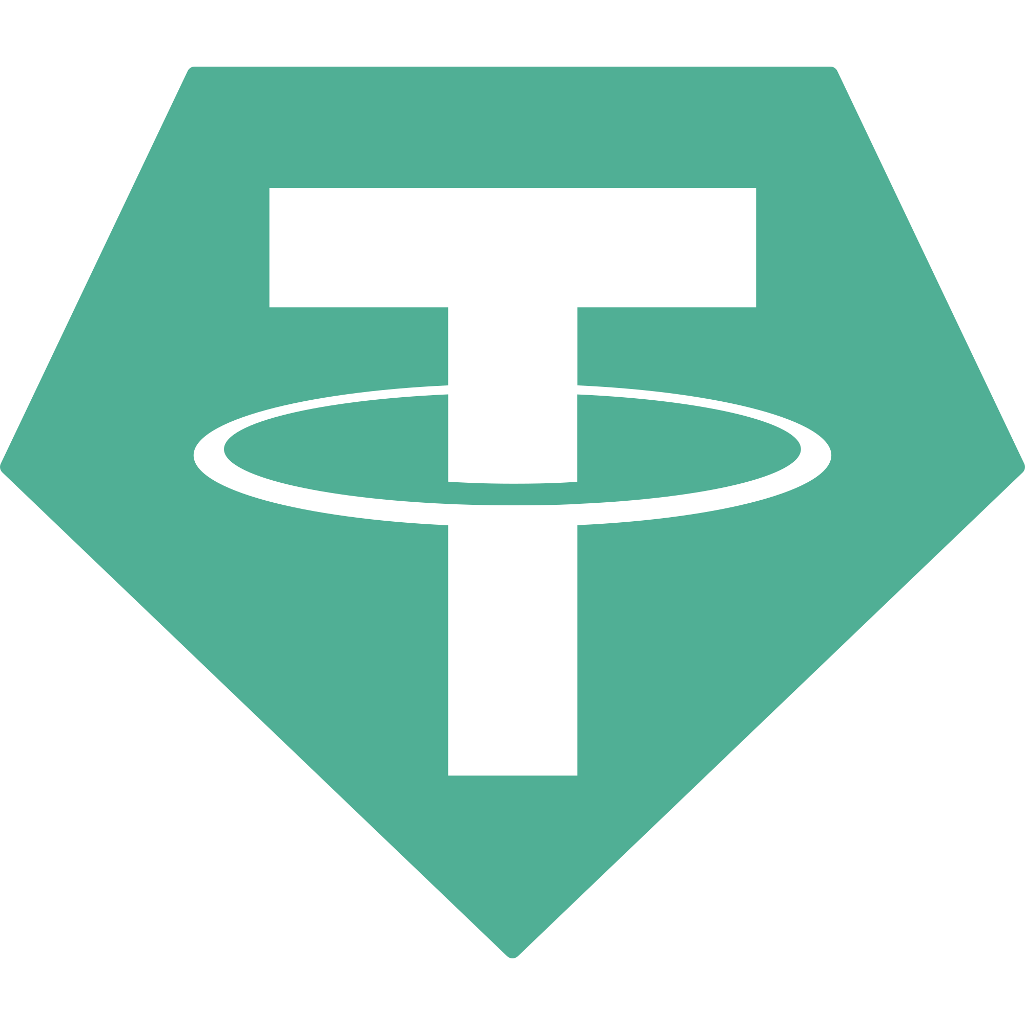 USDT USDT
